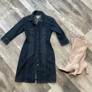 Denim Snap Up Dress
